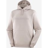 Salomon Big Logo Hoodie Erkek Sweatshirt - Çok Renkli