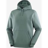 Salomon Big Logo Hoodie Erkek Yeşil Sweatshirt - XL - Çok Renkli