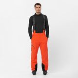 Salomon Brilliant Pant Erkek Kayak Pantolonu - Renkli