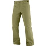 Salomon Brilliant Pant Erkek Siyah Kayak Pantolonu - Haki