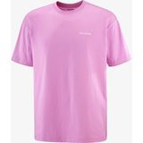 Salomon Chest Logo Relaxed Erkek Tişört Cyclamen LC2687000 - Pembe