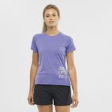 Salomon Cross Run Graphic Kadın Koşu T-Shirt - Renkli