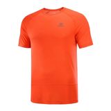 Salomon Cross Run ss Erkek Koşu Tişört S