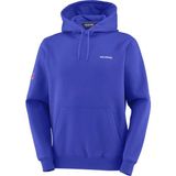 Salomon EQUIPE HOODIE Erkek Sweatshirt Surf The Web LC2849200 - Mavi