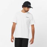Salomon, Erkek, GRAPHIC PERF SS TEE M, Koşu T-Shirt