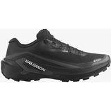 Salomon Genesıs 2 Gtx Erkek Gore-Tex Koşu Ayakkabısı L49300300 - Çok Renkli