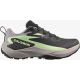 Salomon Genesis GTX Kadın Koşu Ayakkabısı L47862800