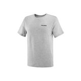 Salomon Graphic Perf SS Tee M Gri Erkek Koşu T-Shirt