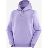 Salomon Logo Hoodie Erkek Sweatshirt - Çok Renkli