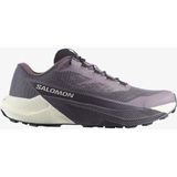 Salomon Pulsar Kadın Koşu Ayakkabısı Excalibur L47975500 - Gri
