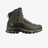 Salomon Quest 4 Gore-Tex Erkek Bot
