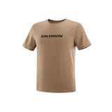 Salomon Running Graphic SS Tee Erkek T-Shirt-LC2246800 SHITAKE XXL