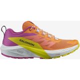 Salomon Sense Ride 5 Kadın Patika Koşusu Ayakkabısı - Renkli