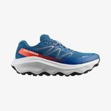 Salomon Ultra Flow 2 Gore-Tex Erkek Koşu Ayakkabısı L47981500