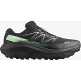 Salomon Ultra Flow 2 Gtx Erkek Koşu Ayakkabısı L47981400 - Çok Renkli