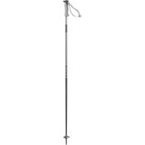 Salomon Üniseks Yetişkin Polar Alpine Poles, Gri Menekşe, 120