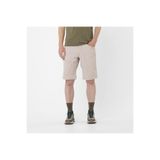 Salomon Wayfarer Erkek Outdoor Şort Etherea Lc2477700