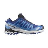 Salomon Xa Pro 3D V9 Erkek Outdoor Ayakkabı L47271900