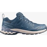 Salomon Xa Pro 3D V9 Gore-Tex Erkek Outdoor Ayakkabı Spellbound L47987200 - Mavi