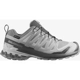 Salomon Xa Pro 3D V9 Gore-Tex Kadın Outdoor Ayakkabı Alloy L45412000 - Gri