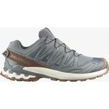 Salomon Xa Pro 3D V9 Gore-Tex Lıfelong Erkek Outdoor Ayakkabı Sedona Sage L49296100 - Yeşil