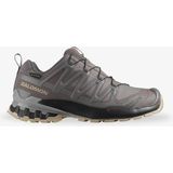 Salomon Xa Pro 3D V9 Gore-Tex Women's Grey Outdoor Shoes - Gri