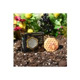 SALPİN Prolüks Arı Sütü, Bal, Polen, Propolis Sabunu 40 Gr