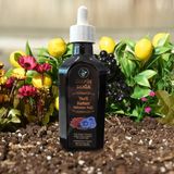 Salpin Yerli Keten Tohumu Yağı 100 ml