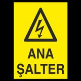 Salter Ana Levhası