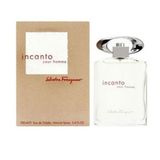 Salvatore Ferragamo Incanto Pour Homme 100 ml EDT Erkek Parfümü
