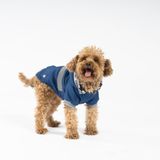 Salya Store – İndigo Köpek Yağmurluğu KY-101 (XX-Large)