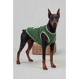 Salya Store Köpek Kıyafeti, Boston Köpek Forma, Kedi Köpek Elbisesi - Yeşil - 6XL
