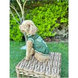 Salya Store Köpek Kıyafeti, Boston Köpek Forma, Kedi Köpek Elbisesi - Yeşil - XS