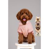 salya store Köpek Kıyafeti - Rose Aerobin Kadife Köpek Montu