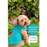 salya store Köpek Kot Ceket, Köpek Kıyafeti Çam Yeşili - Küçük Irk Köpek Kot Yelek (0-15KG)