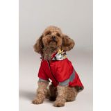 Salya Store Köpek Yağmurluğu Kırmızı Non300 (Large)