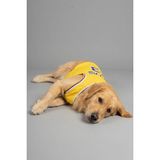 Salya Store Lakers Yazlık Köpek Forma Kedi,köpek Kıyafeti Küçük Irklar - Sarı - 7XL