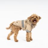 Salya Store – Vizon Köpek Yağmurluğu KY-102 (XX-Large)