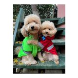 salya store Yeşil Köpek Yağmurluğu, Reflektörlü Su Geçirmez Yağmurluk, Köpek Kıyafeti, Yeşil Köpek Yağmurluğu