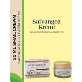 Salyangoz Krem