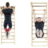 Salyangozhane 35 Mm Isveç Akrobatik Tırmanma Duvarı, Skolyoz Tedavi Merdiveni, Fitness Egzersiz Yoga Pilates