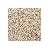 ŞAMPİYON Ak (BEYAZ) Darı 10 Kg Kuş Yemi
