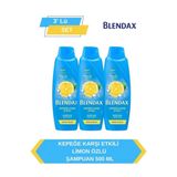 Şampuan 500 ml Kepeğe Karşı Etkilix3