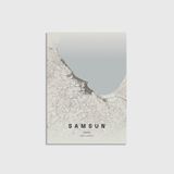 Samsun Şehir Haritası Tablo Çerçeveli Poster Duvar Dekorasyonu - 21 x 30 - Çerçevesiz Poster