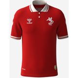 Samsun Spor 25/26 Hummel Samsunspor Hazırlık Maç Forması - 2XL - Kırmızı