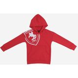 Samsun Spor Arma Baskılı Kapüşonlu Çocuk Sweat - 2 - 3 Yaş - Kırmızı