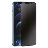 Samsung Galaxy S21 FE 3D Antistatik Hayalet Cam Ekran Koruyucu