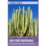 San Pedro (Huachuma), la Pianta Medicinale del Cactus: Il Viaggio del Cactus Sacro