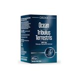Şanal Orzax Tribulus Terrestris 500 Mg 60 Kapsül