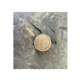 SANAT TACİRİ Koleksiyoluk Bronz Renk 1 Cent Rozet Yaka Broşu